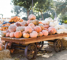 Load image into Gallery viewer, 6 Ounce Tin Candle -- Fall Scents