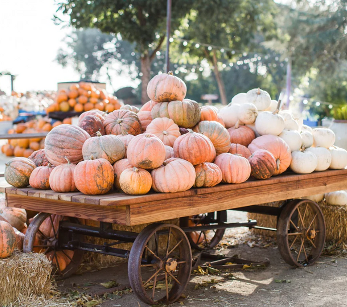 Wax Melts -- 100% Soy Wax -- Fall Scents